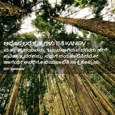 Picture 02 - ಅಪೊಸ್ತಲರ ಕೃತ್ಯಗಳು 15:8 KANIRV - ಮತ್ತು ಹೃದಯವನ್ನು - Bible Verse Picture