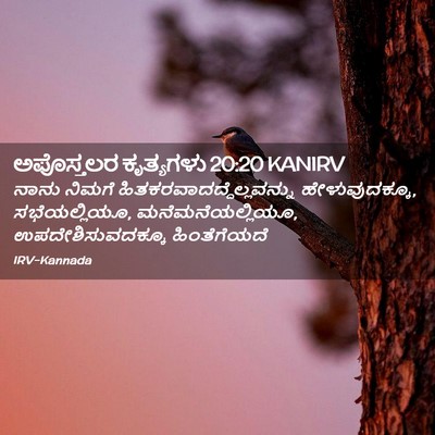 Picture 02 - ಅಪೊಸ್ತಲರ ಕೃತ್ಯಗಳು 20:20 KANIRV - ನಾನು ನಿಮಗೆ - Bible Verse Picture