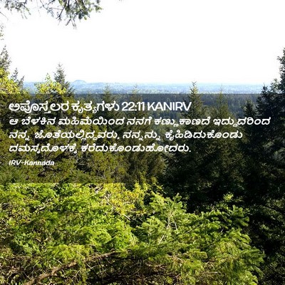 Picture 02 - ಅಪೊಸ್ತಲರ ಕೃತ್ಯಗಳು 22:11 KANIRV - ಆ ಬೆಳಕಿನ - Bible Verse Picture
