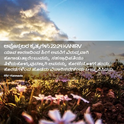 Picture 02 - ಅಪೊಸ್ತಲರ ಕೃತ್ಯಗಳು 22:24 KANIRV - ಯಾವ ಕಾರಣದಿಂದ ಹೀಗೆ - Bible Verse Picture