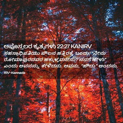 Picture 02 - ಅಪೊಸ್ತಲರ ಕೃತ್ಯಗಳು 22:27 KANIRV - ಸಹಸ್ರಾಧಿಪತಿಯು - Bible Verse Picture