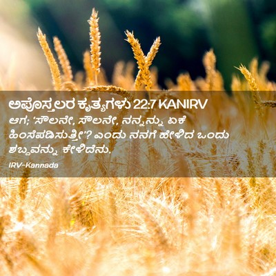 Picture 02 - ಅಪೊಸ್ತಲರ ಕೃತ್ಯಗಳು 22:7 KANIRV - ಆಗ; ‘ಸೌಲನೇ, ಸೌಲನೇ, - Bible Verse Picture
