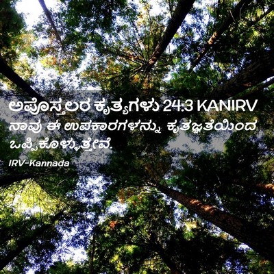 Picture 02 - ಅಪೊಸ್ತಲರ ಕೃತ್ಯಗಳು 24:3 KANIRV - ನಾವು ಈ - Bible Verse Picture