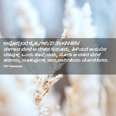 Picture 02 - ಅಪೊಸ್ತಲರ ಕೃತ್ಯಗಳು 27:39 KANIRV - ಬೆಳಗಾದ ಮೇಲೆ ಆ ದೇಶದ - Bible Verse Picture