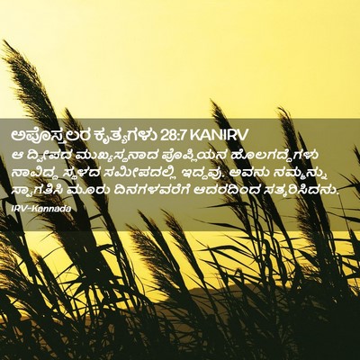 Picture 02 - ಅಪೊಸ್ತಲರ ಕೃತ್ಯಗಳು 28:7 KANIRV - ಆ ದ್ವೀಪದ - Bible Verse Picture