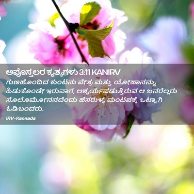 Picture 02 - ಅಪೊಸ್ತಲರ ಕೃತ್ಯಗಳು 3:11 KANIRV - ಗುಣಹೊಂದಿದ ಕುಂಟನು - Bible Verse Picture