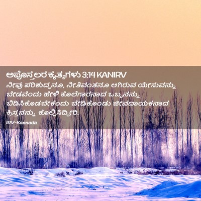 Picture 02 - ಅಪೊಸ್ತಲರ ಕೃತ್ಯಗಳು 3:14 KANIRV - ನೀವು ಪರಿಶುದ್ಧನೂ, - Bible Verse Picture