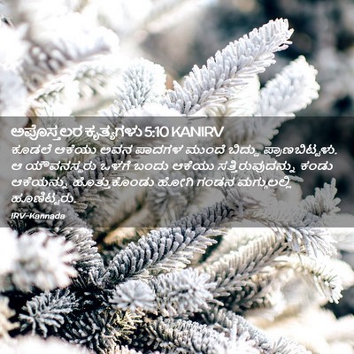 Picture 02 - ಅಪೊಸ್ತಲರ ಕೃತ್ಯಗಳು 5:10 KANIRV - ಕೂಡಲೆ ಆಕೆಯು ಅವನ - Bible Verse Picture