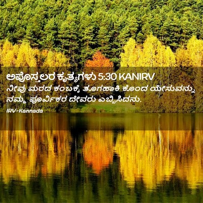 Picture 02 - ಅಪೊಸ್ತಲರ ಕೃತ್ಯಗಳು 5:30 KANIRV - ನೀವು ಮರದ ಕಂಬಕ್ಕೆ - Bible Verse Picture