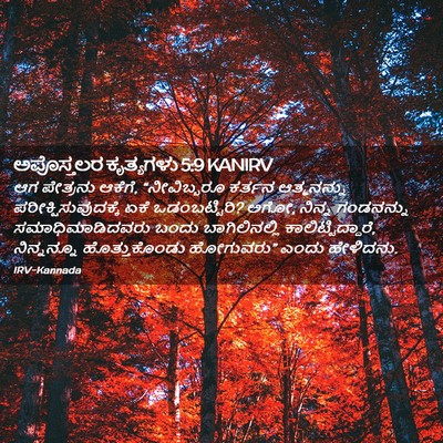 Picture 02 - ಅಪೊಸ್ತಲರ ಕೃತ್ಯಗಳು 5:9 KANIRV - ಆಗ ಪೇತ್ರನು ಆಕೆಗೆ, - Bible Verse Picture