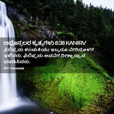 Picture 02 - ಅಪೊಸ್ತಲರ ಕೃತ್ಯಗಳು 8:38 KANIRV - ಫಿಲಿಪ್ಪನು - Bible Verse Picture