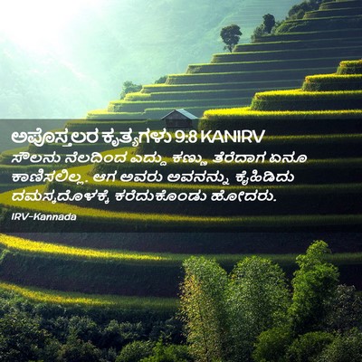 Picture 02 - ಅಪೊಸ್ತಲರ ಕೃತ್ಯಗಳು 9:8 KANIRV - ಸೌಲನು ನೆಲದಿಂದ - Bible Verse Picture