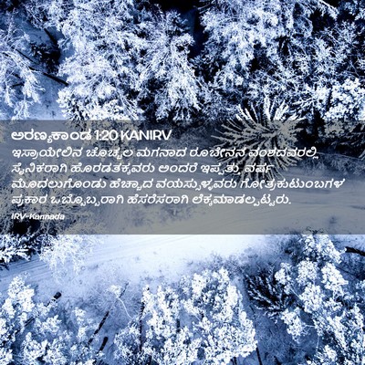 Picture 02 - ಅರಣ್ಯಕಾಂಡ 1:20 KANIRV - ಇಸ್ರಾಯೇಲಿನ ಚೊಚ್ಚಲ - Bible Verse Picture