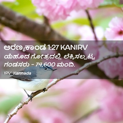Picture 02 - ಅರಣ್ಯಕಾಂಡ 1:27 KANIRV - ಯೆಹೂದ ಗೋತ್ರದಲ್ಲಿ - Bible Verse Picture