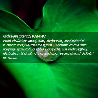 Picture 02 - ಅರಣ್ಯಕಾಂಡ 1:53 KANIRV - ಆದರೆ ಲೇವಿಯರು - Bible Verse Picture