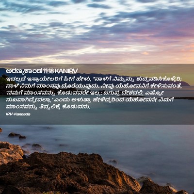 Picture 02 - ಅರಣ್ಯಕಾಂಡ 11:18 KANIRV - ಇದಲ್ಲದೆ - Bible Verse Picture