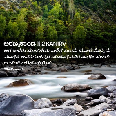 Picture 02 - ಅರಣ್ಯಕಾಂಡ 11:2 KANIRV - ಆಗ ಜನರು ಮೋಶೆಯ - Bible Verse Picture
