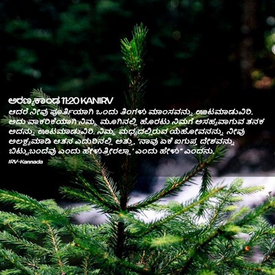 Picture 02 - ಅರಣ್ಯಕಾಂಡ 11:20 KANIRV - ಆದರೆ ನೀವು - Bible Verse Picture