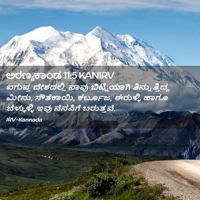 Picture 02 - ಅರಣ್ಯಕಾಂಡ 11:5 KANIRV - ಐಗುಪ್ತ ದೇಶದಲ್ಲಿ - Bible Verse Picture