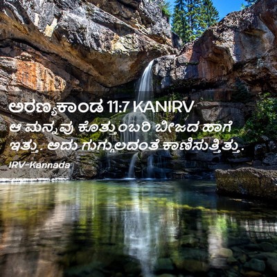 Picture 02 - ಅರಣ್ಯಕಾಂಡ 11:7 KANIRV - ಆ ಮನ್ನವು - Bible Verse Picture
