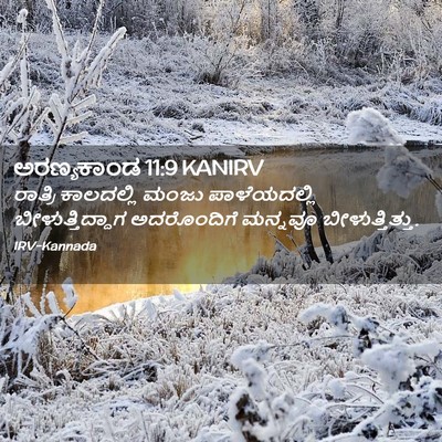 Picture 02 - ಅರಣ್ಯಕಾಂಡ 11:9 KANIRV - ರಾತ್ರಿ ಕಾಲದಲ್ಲಿ - Bible Verse Picture