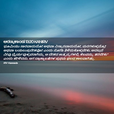 Picture 02 - ಅರಣ್ಯಕಾಂಡ 13:20 KANIRV - ಭೂಮಿಯು ಸಾರವಾದುದೋ - Bible Verse Picture