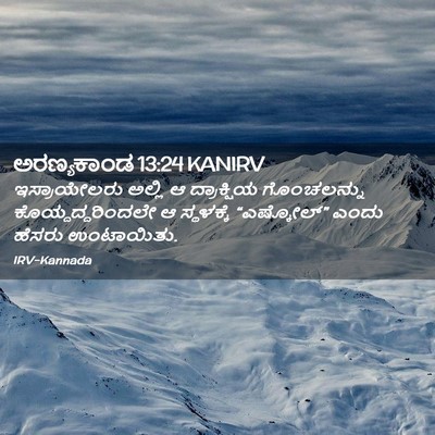 Picture 02 - ಅರಣ್ಯಕಾಂಡ 13:24 KANIRV - ಇಸ್ರಾಯೇಲರು ಅಲ್ಲಿ - Bible Verse Picture