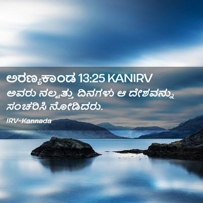 Picture 02 - ಅರಣ್ಯಕಾಂಡ 13:25 KANIRV - ಅವರು ನಲ್ವತ್ತು - Bible Verse Picture