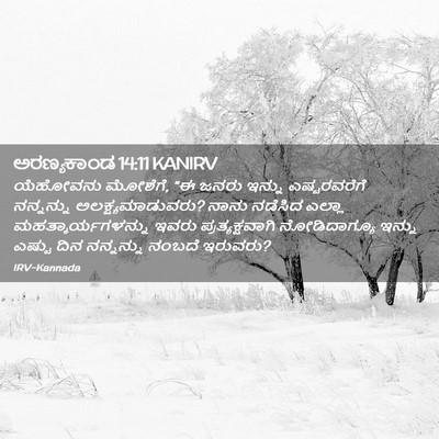 Picture 02 - ಅರಣ್ಯಕಾಂಡ 14:11 KANIRV - ಯೆಹೋವನು ಮೋಶೆಗೆ, “ಈ - Bible Verse Picture