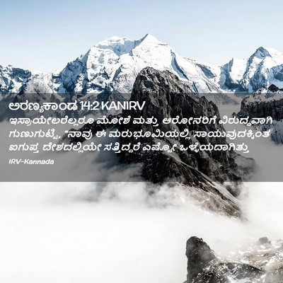 Picture 02 - ಅರಣ್ಯಕಾಂಡ 14:2 KANIRV - ಇಸ್ರಾಯೇಲರೆಲ್ಲರೂ - Bible Verse Picture