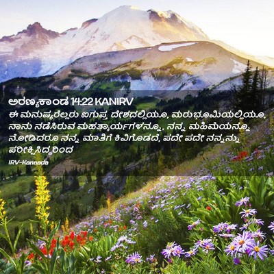 Picture 02 - ಅರಣ್ಯಕಾಂಡ 14:22 KANIRV - ಈ ಮನುಷ್ಯರೆಲ್ಲರು - Bible Verse Picture