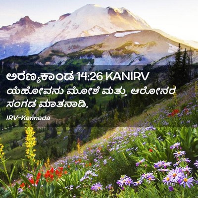 Picture 02 - ಅರಣ್ಯಕಾಂಡ 14:26 KANIRV - ಯೆಹೋವನು ಮೋಶೆ - Bible Verse Picture