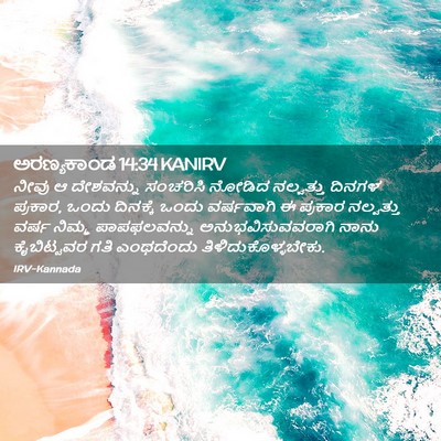 Picture 02 - ಅರಣ್ಯಕಾಂಡ 14:34 KANIRV - ನೀವು ಆ ದೇಶವನ್ನು - Bible Verse Picture