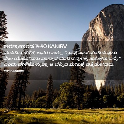 Picture 02 - ಅರಣ್ಯಕಾಂಡ 14:40 KANIRV - ಮರುದಿನ ಬೆಳಿಗ್ಗೆ - Bible Verse Picture