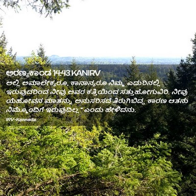 Picture 02 - ಅರಣ್ಯಕಾಂಡ 14:43 KANIRV - ಅಲ್ಲಿ ಅಮಾಲೇಕ್ಯರೂ, - Bible Verse Picture