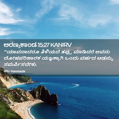Picture 02 - ಅರಣ್ಯಕಾಂಡ 15:27 KANIRV - “‘ಯಾವನಾದರೂ - Bible Verse Picture
