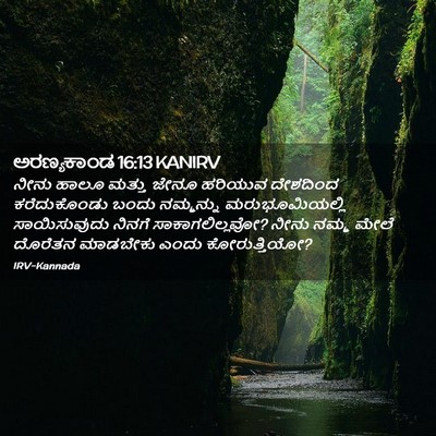 Picture 02 - ಅರಣ್ಯಕಾಂಡ 16:13 KANIRV - ನೀನು ಹಾಲೂ ಮತ್ತು - Bible Verse Picture