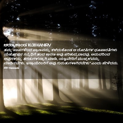 Picture 02 - ಅರಣ್ಯಕಾಂಡ 16:38 KANIRV - ತಮ್ಮ ಪಾಪಗಳಿಂದ - Bible Verse Picture