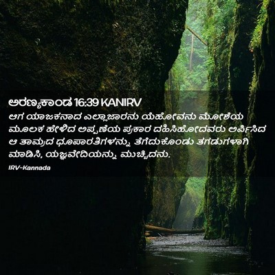 Picture 02 - ಅರಣ್ಯಕಾಂಡ 16:39 KANIRV - ಆಗ ಯಾಜಕನಾದ - Bible Verse Picture