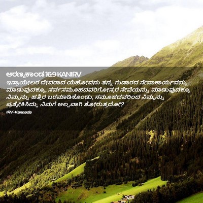 Picture 02 - ಅರಣ್ಯಕಾಂಡ 16:9 KANIRV - ಇಸ್ರಾಯೇಲರ ದೇವರಾದ - Bible Verse Picture