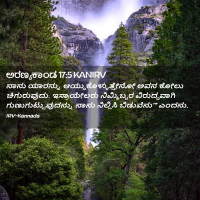 Picture 02 - ಅರಣ್ಯಕಾಂಡ 17:5 KANIRV - ನಾನು ಯಾರನ್ನು - Bible Verse Picture