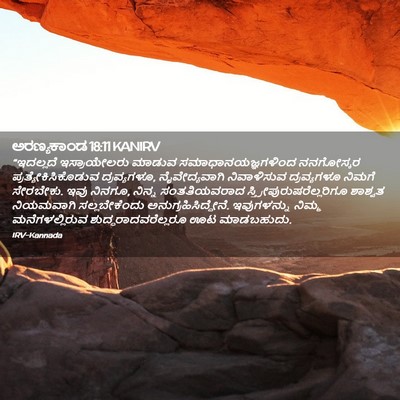 Picture 02 - ಅರಣ್ಯಕಾಂಡ 18:11 KANIRV - “ಇದಲ್ಲದೆ - Bible Verse Picture