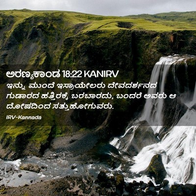 Picture 02 - ಅರಣ್ಯಕಾಂಡ 18:22 KANIRV - ಇನ್ನು ಮುಂದೆ - Bible Verse Picture