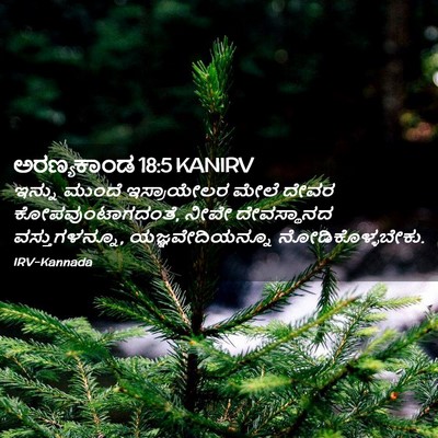 Picture 02 - ಅರಣ್ಯಕಾಂಡ 18:5 KANIRV - ಇನ್ನು ಮುಂದೆ - Bible Verse Picture