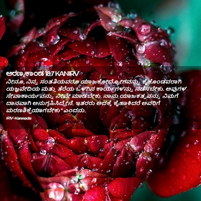 Picture 02 - ಅರಣ್ಯಕಾಂಡ 18:7 KANIRV - ನೀನೂ, ನಿನ್ನ - Bible Verse Picture