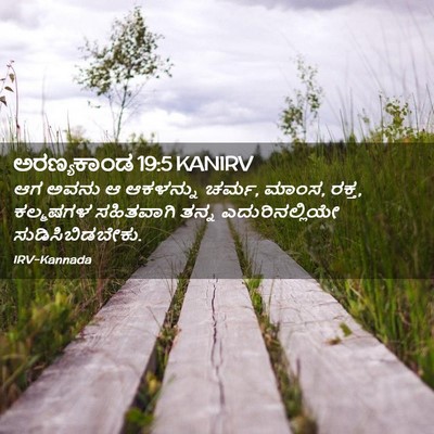 Picture 02 - ಅರಣ್ಯಕಾಂಡ 19:5 KANIRV - ಆಗ ಅವನು ಆ ಆಕಳನ್ನು - Bible Verse Picture