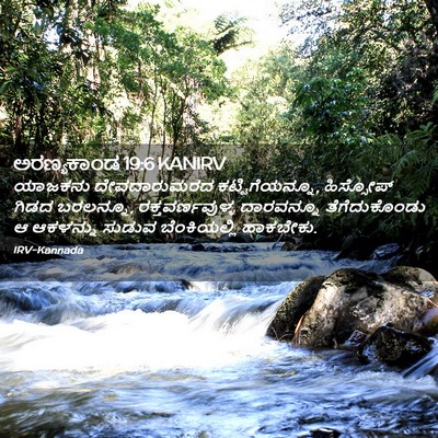 Picture 02 - ಅರಣ್ಯಕಾಂಡ 19:6 KANIRV - ಯಾಜಕನು ದೇವದಾರುಮರದ - Bible Verse Picture