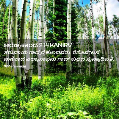 Picture 02 - ಅರಣ್ಯಕಾಂಡ 2:14 KANIRV - ತರುವಾಯ ಗಾದ್ಯರ - Bible Verse Picture