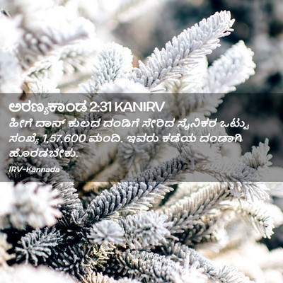Picture 02 - ಅರಣ್ಯಕಾಂಡ 2:31 KANIRV - ಹೀಗೆ ದಾನ್ ಕುಲದ - Bible Verse Picture