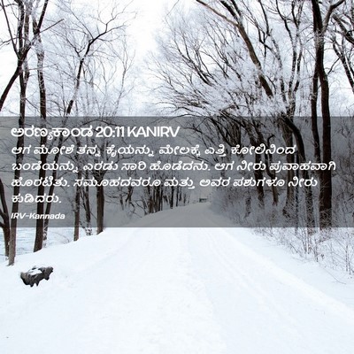 Picture 02 - ಅರಣ್ಯಕಾಂಡ 20:11 KANIRV - ಆಗ ಮೋಶೆ ತನ್ನ - Bible Verse Picture